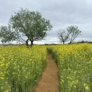 나주종합스포츠파크 건너편 이미지