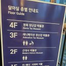 월드태권아카데미 | 눈치 보이는) 분들께 추천드리는 관광명소 : 옥산가(달아실 피규어박물관, 옥앳티 카페), 홍천 알파카월드