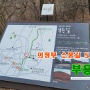 부용길1 이미지