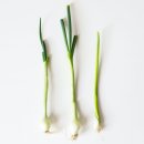 쾌통한의원 이미지