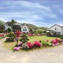팜스테이펜션 - 청도군 청매로 957-19 | 팜스테이펜션