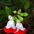 평화중앙7길 이미지