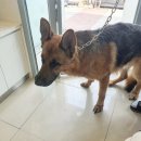 경인로134번길 이미지