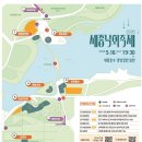 연기면_호수공원매화공연장 | 2026 세종낙화축제 솔직 후기! 기대만큼 볼만했을까? 호수공원 주차부터 관람까지