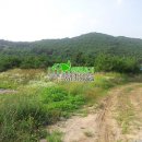 양평최고공인중개사사무소 이미지