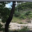 숲속에서 캠핑장 이미지