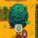 메이플밸리 이미지