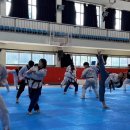 한국체대 꿈나무 태권도장 이미지