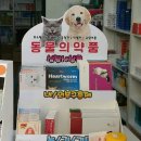다인온누리약국 이미지
