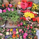 아파트 알뜰시장 이미지