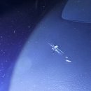 스타PC 양산서창점 | 양산 서창자동차유리복원 웅상 스톤칩 땜빵 출장 전문가