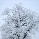 엘리트고시원 - 달서구 호산동로35북길 5 | 엘리트고시원