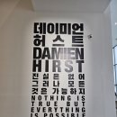 대학천사약국 | 미대생의 서울국립현대미술관 데미안 허스트 전시 후기