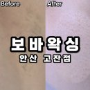 보바(BOBA)카페 | '보바왁싱' 안산고잔동왁싱 브라질리언 겨드랑이 다리 왁싱 찐후기