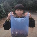 땅에미소캠핑장 | 연천 땅에미소 캠핑장 후기 – 캠핑 7년차 가족의 가을 캠핑 시작이야기