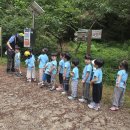 🐜7월의 매지숲체험🌳 이미지