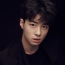 에스지컴퍼니