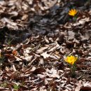 포천머리방 이미지