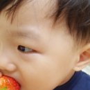 별솔농장 이미지