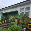 컨츄리로드커피 | 태안 카페 추천 컨츄리로드커피 크림뷔릴레라떼 내돈내산 후기