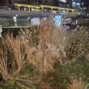 관악-현장-관악-07-59 | 신림동 겨울데이트 추천: 관악별빛산책 화이트 매직 산책