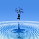 요가3.(저녁반) 이미지