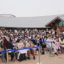 삼삼오오 이미지