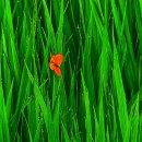 현치과기공소 이미지