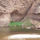 용바위식당 이미지