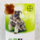 익산플러스약국 이미지