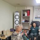 백조경로당 Daum카페