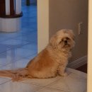 파인땡큐마트 이미지