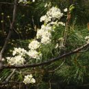 열창노래방 이미지