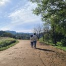 당포의하루 이미지