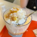 망고파인 이미지