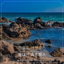 꿀단지펜션 | 강원도 여행 코스 올데이 속초패스 BEST 5 후기