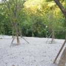 은하수 관광농원 이미지