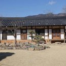 향우당 티스토리