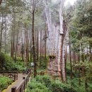 고궁스포츠클럽 이미지