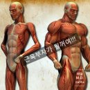 나를 위해 살아봅시다 이미지