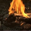 모닥불 이미지