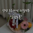 온담프룻 | 양산 프리미엄 과일전문점 [온담프룻] 과일바구니 프룻백 후기