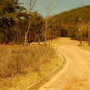 대가야역사테마관광지 이미지