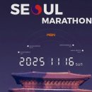 어등 어린이공원 | 올가을 MBN주최 서울마라톤 소식과 올림픽공원 부터 집까지 러닝코스