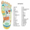 발건강 이미지