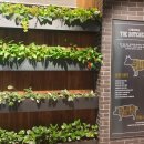 송추가마골 잠실지점 이미지