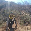 하동 섬진강변길 이미지