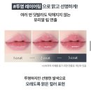 요즘 다이소틴트 왜 이렇게 예뻐요??태그 듀이멜팅밤 물먹립 후기