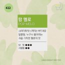 하카대구 이미지