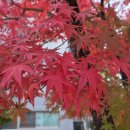 단풍마을주공11단지 이미지